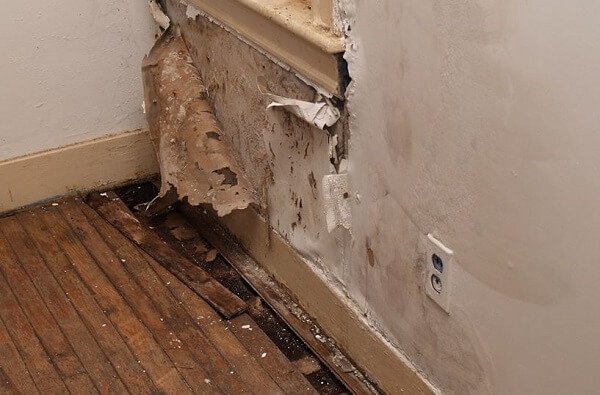 Repeindre plafond aprs dgt des eaux